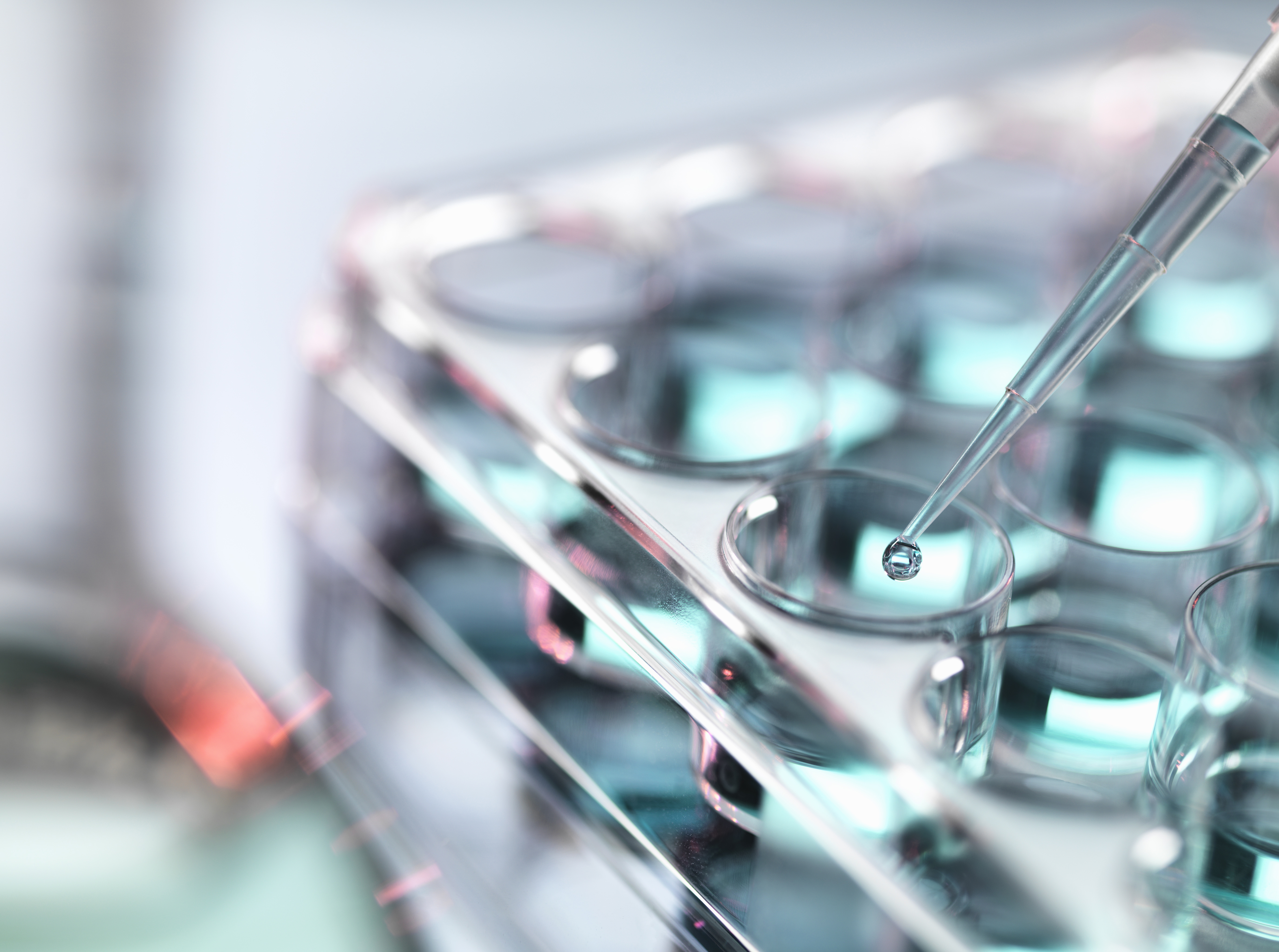 Drug testing rationale